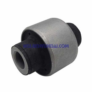 بوش طبق عقب وراکروز 552182B000